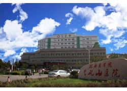 芜湖医院：皖南医学院弋矶山医院（三甲）